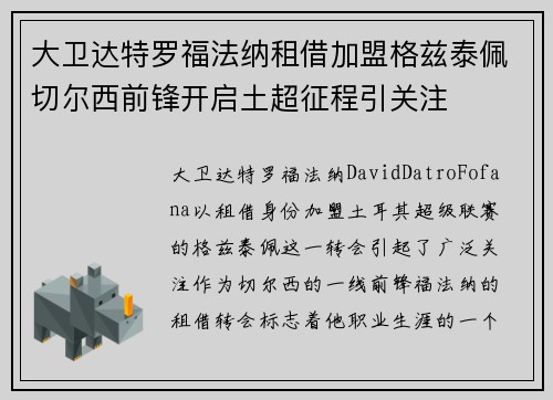 大卫达特罗福法纳租借加盟格兹泰佩切尔西前锋开启土超征程引关注